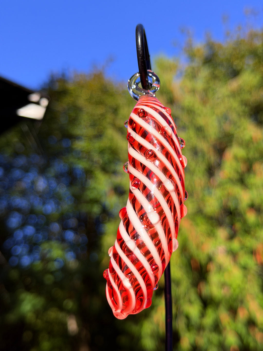 Candy Cane Pickle