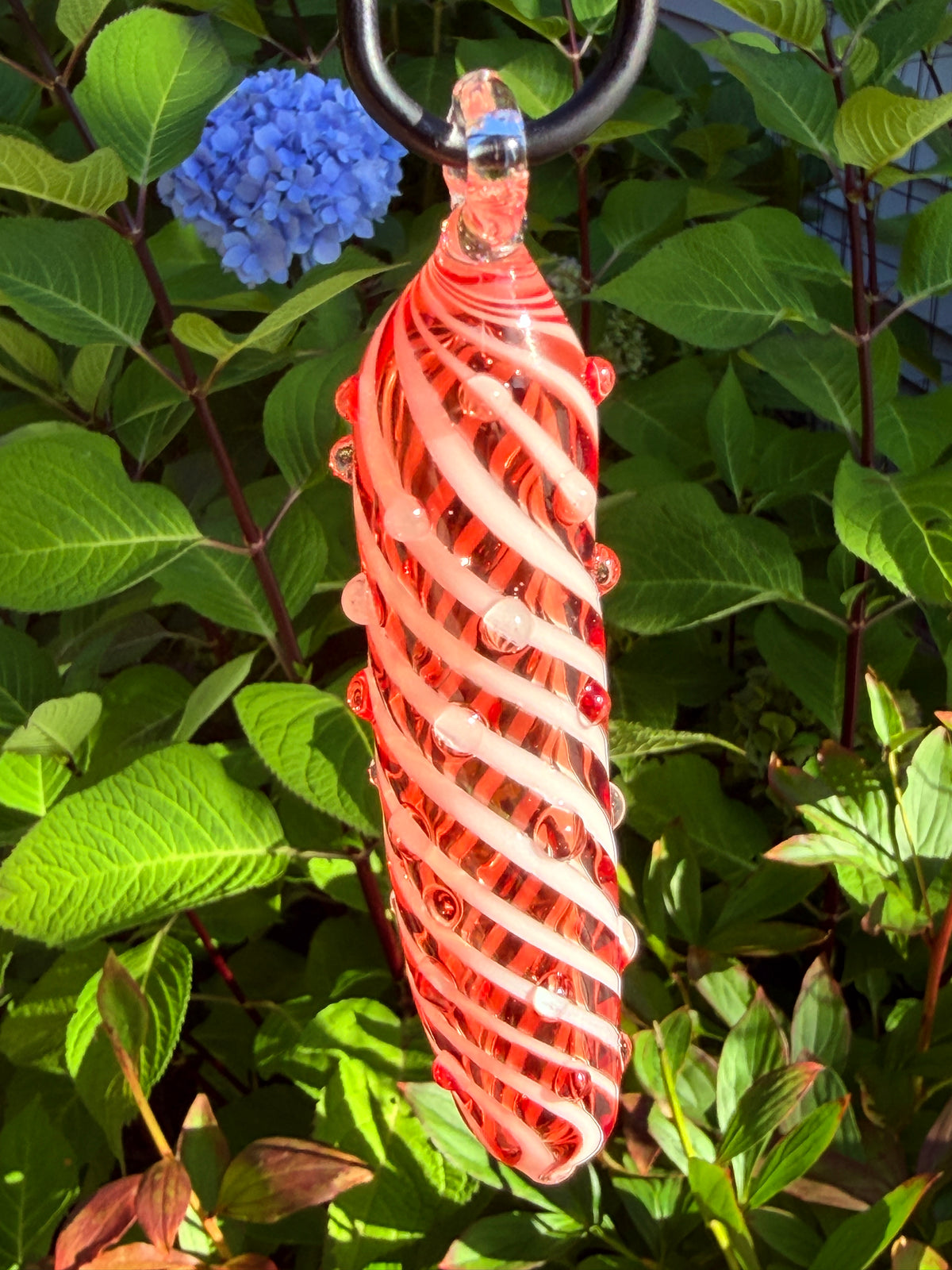 Candy Cane Pickle