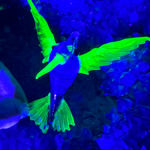 In Stock: Giant Glass Hummingbirds with UV Reactive Wings