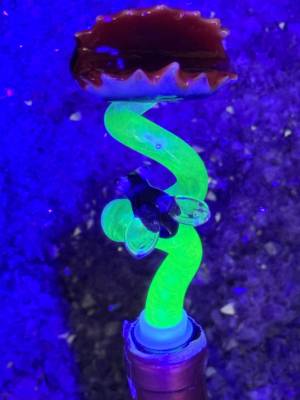 In Stock: Glow-in-the-Dark Hilarious Venus Flytrap Wine Topper - Only 1 Available!!