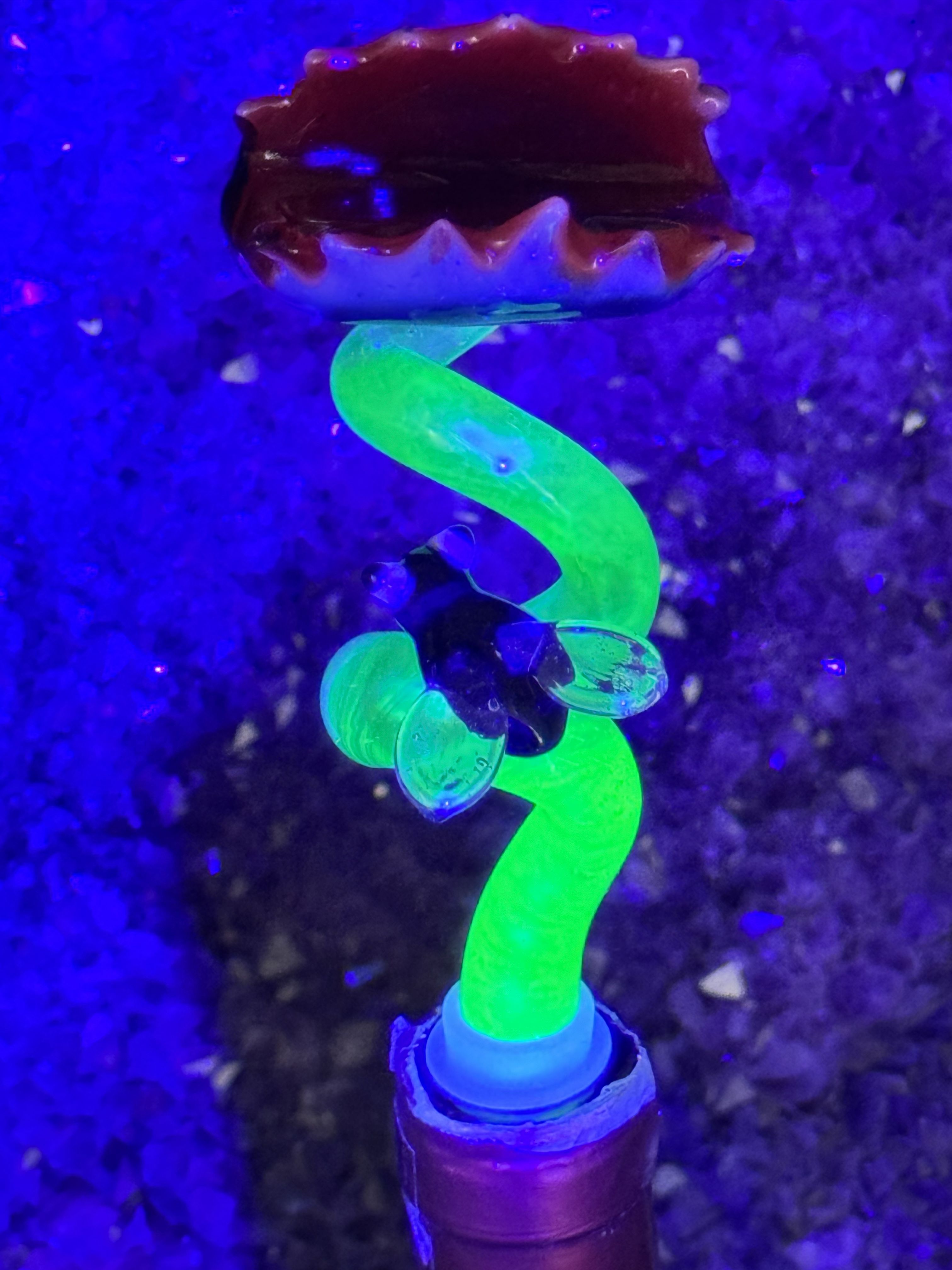 In Stock: Glow-in-the-Dark Hilarious Venus Flytrap Wine Topper - Only 1 Available!!