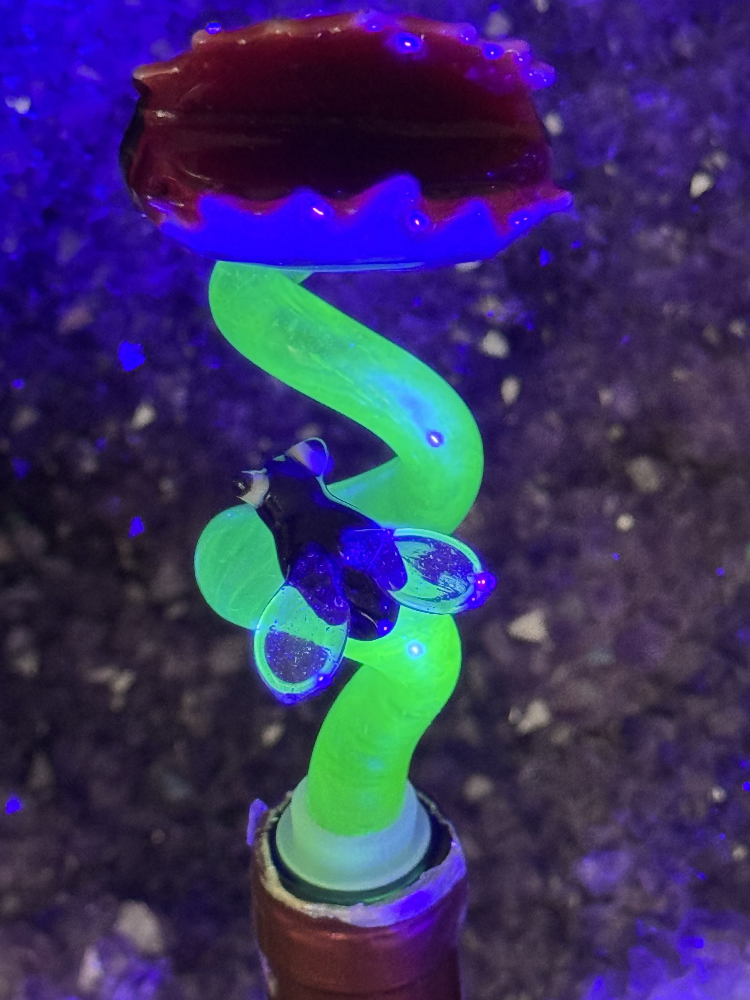 In Stock: Glow-in-the-Dark Hilarious Venus Flytrap Wine Topper - Only 1 Available!!