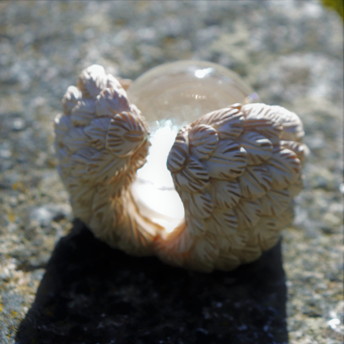 Clear Mini Memorial Globe — photo 7