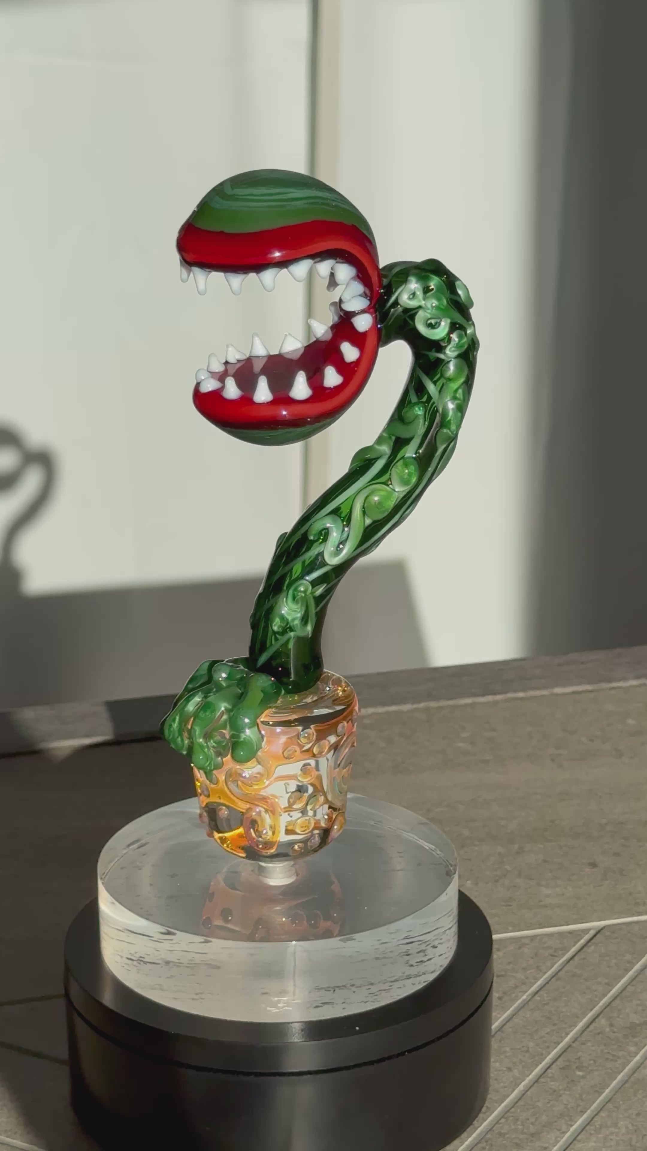 In Stock: Hilarious Venus Flytrap - Only 1 Available!!